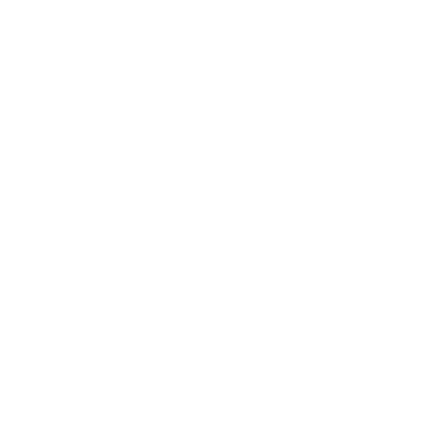 applepay (1)
