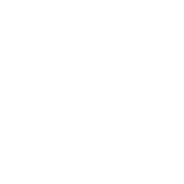 bizum (1)
