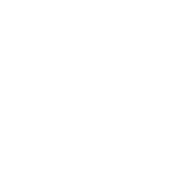 visa (1)