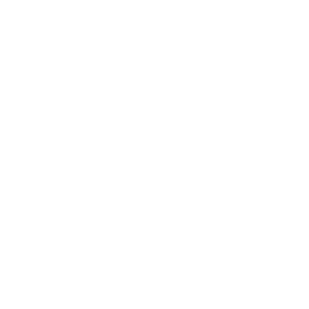 logo visa